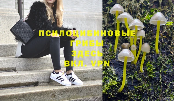 apvp Киреевск