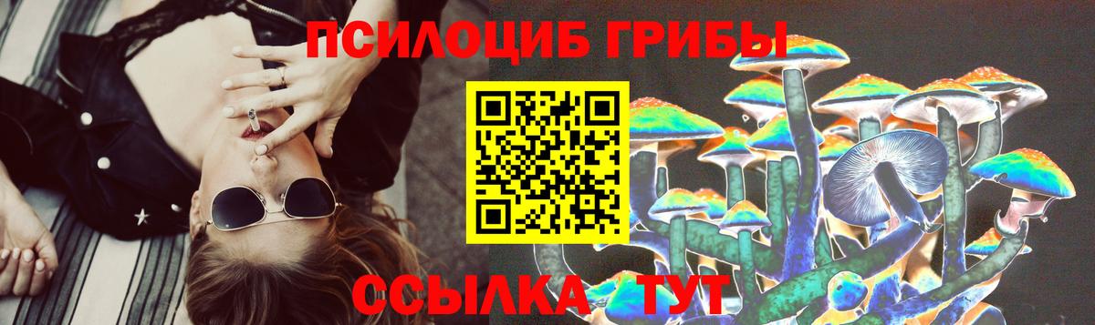 Псилоцибиновые грибы Psilocybe Электросталь