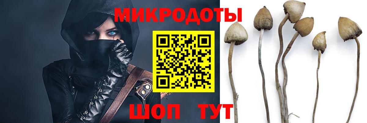 Электросталь  Галлюциногенные грибы MAGIC MUSHROOMS  Вход с VPN 